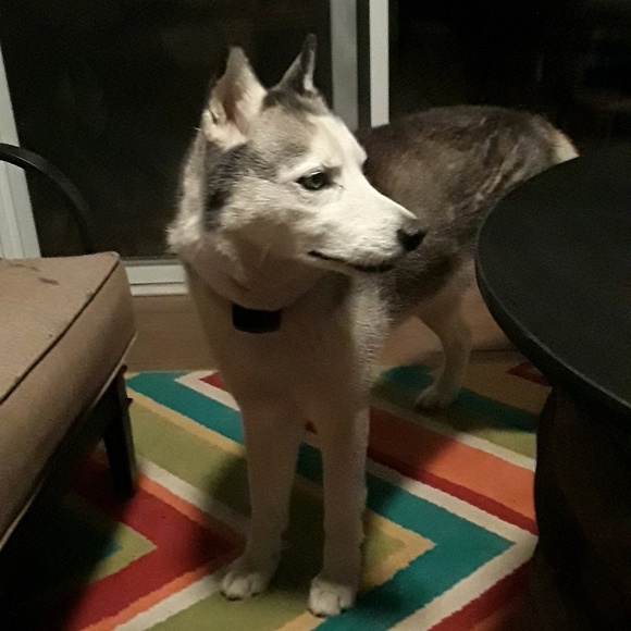 Meet your Posher, Daniel - Picture 1 of 1